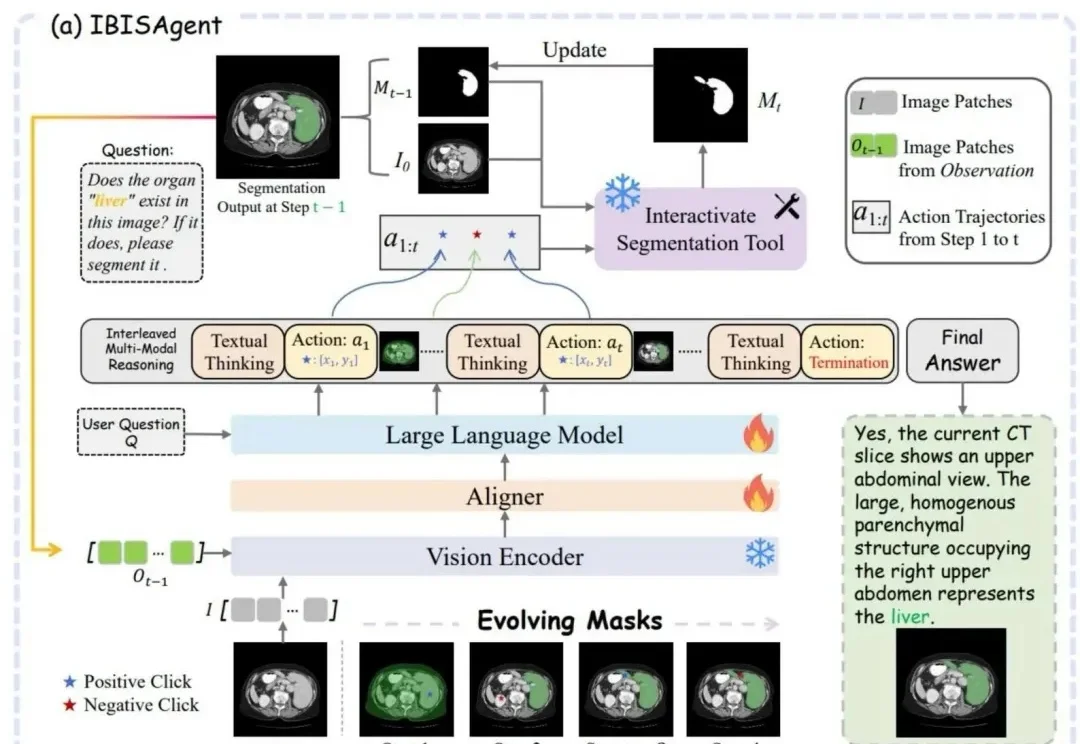 国产多模态Agent拿下医学分割SOTA！不用改模型、不加token | 浙大&上海AI Lab