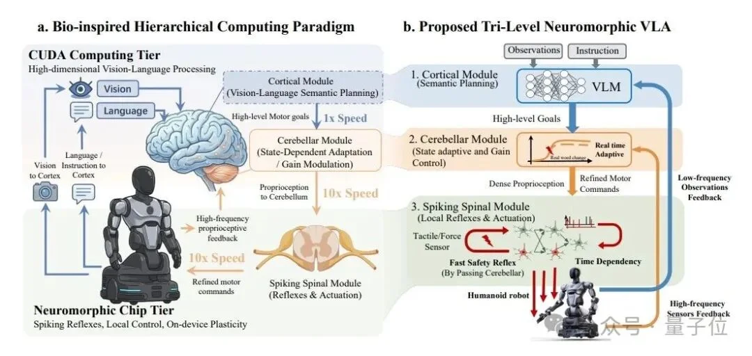 特斯拉开源硬件，中国公司回应来了：直接把机器人大脑开源了