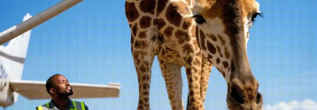 HTML死了！前OpenAI工程师掀起网页革命：用AI将整个屏幕变成无限直播像素流，无一行html代码，网友：传统Web开发结束，前端真要失业了！