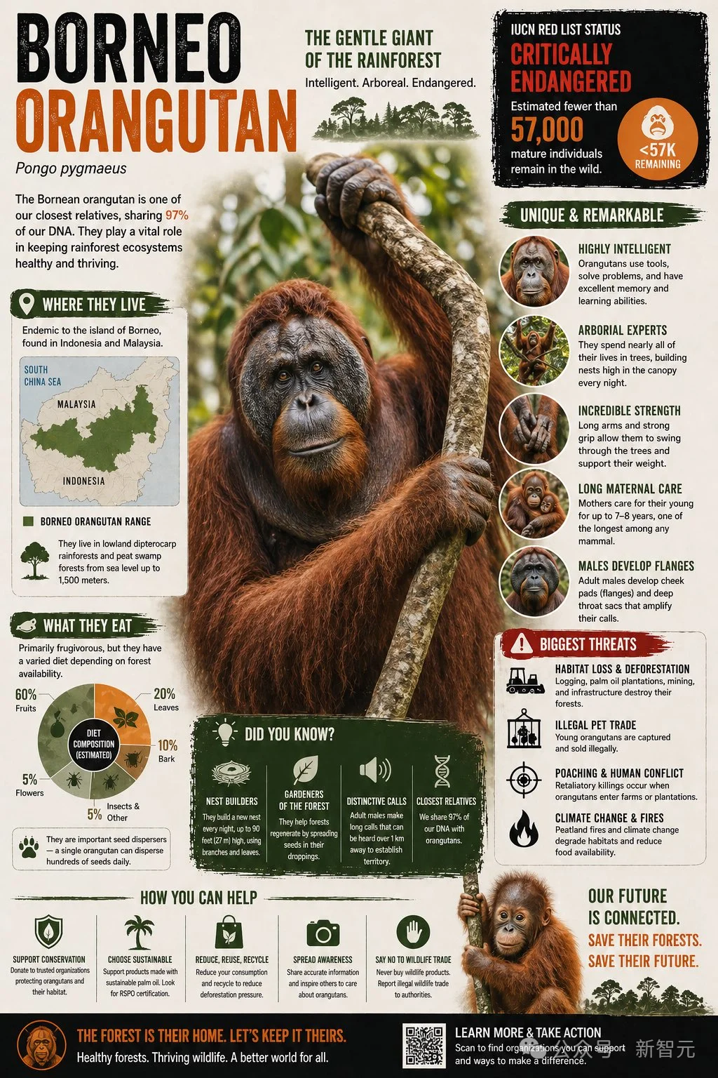 AI智力天花板崩了！GPT-5.5 Pro视觉智商145，撞倒门萨俱乐部门槛