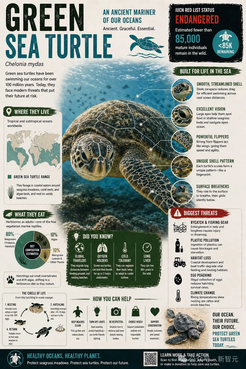 AI智力天花板崩了！GPT-5.5 Pro视觉智商145，撞倒门萨俱乐部门槛