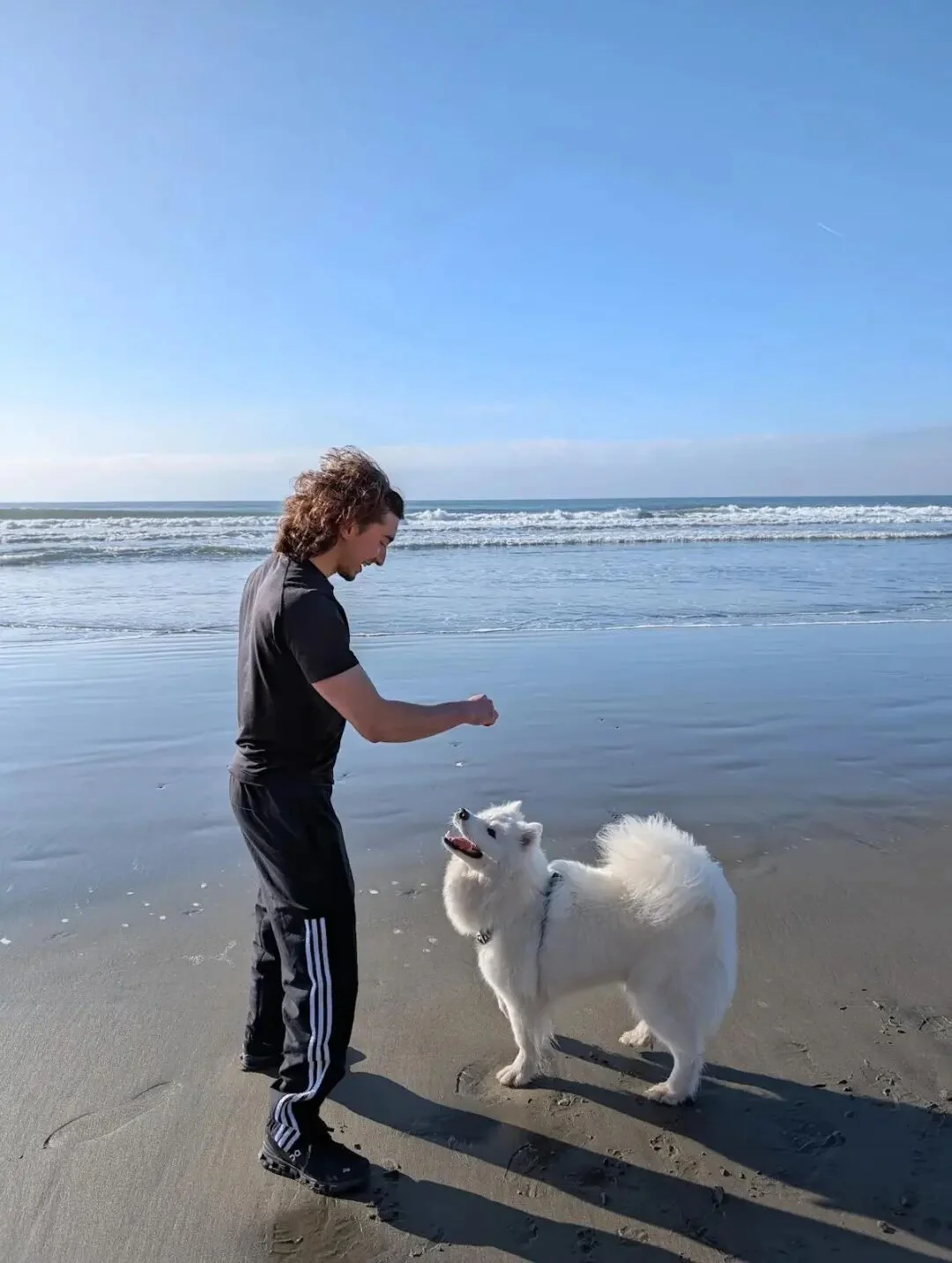 Anthropic 做了个 Agent 版闲鱼