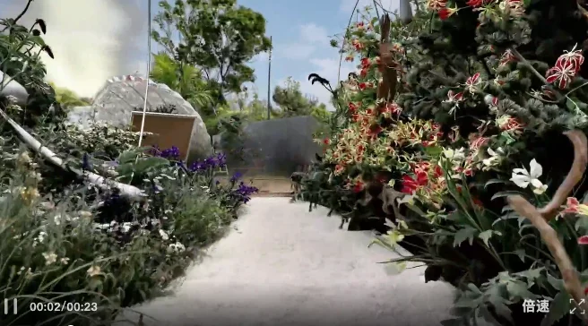 李飞飞引爆的3D新技术，为什么这家深圳公司两年前就“玩腻”了？