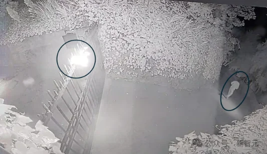 彻底失控！AI恐惧演变物理暗杀：老黄随身带5个保镖，奥特曼们沦为靶子