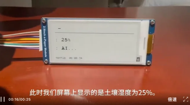 这届年轻人用AI造的「新物种」：活过来的画框、会叹气的台灯、会写信的龟背竹……