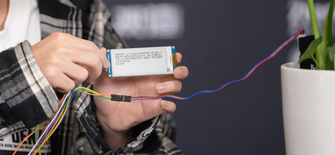 这届年轻人用AI造的「新物种」：活过来的画框、会叹气的台灯、会写信的龟背竹……