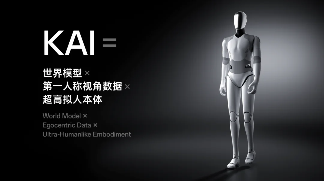 这家公司刚成立7个月，正在打磨通用具身智能的终极形态