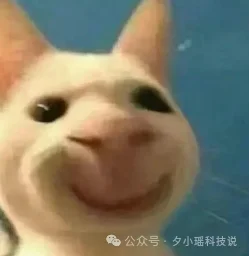 一键白标 Claude Code：自定义命令 + 启动画面 + 配置隔离，Skill可自取