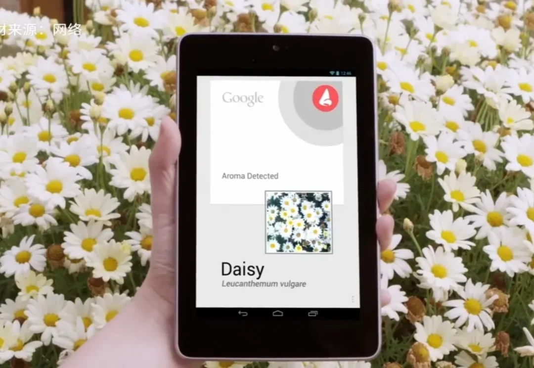 所有人都在追赶 AI，但有个真相被忽略了……