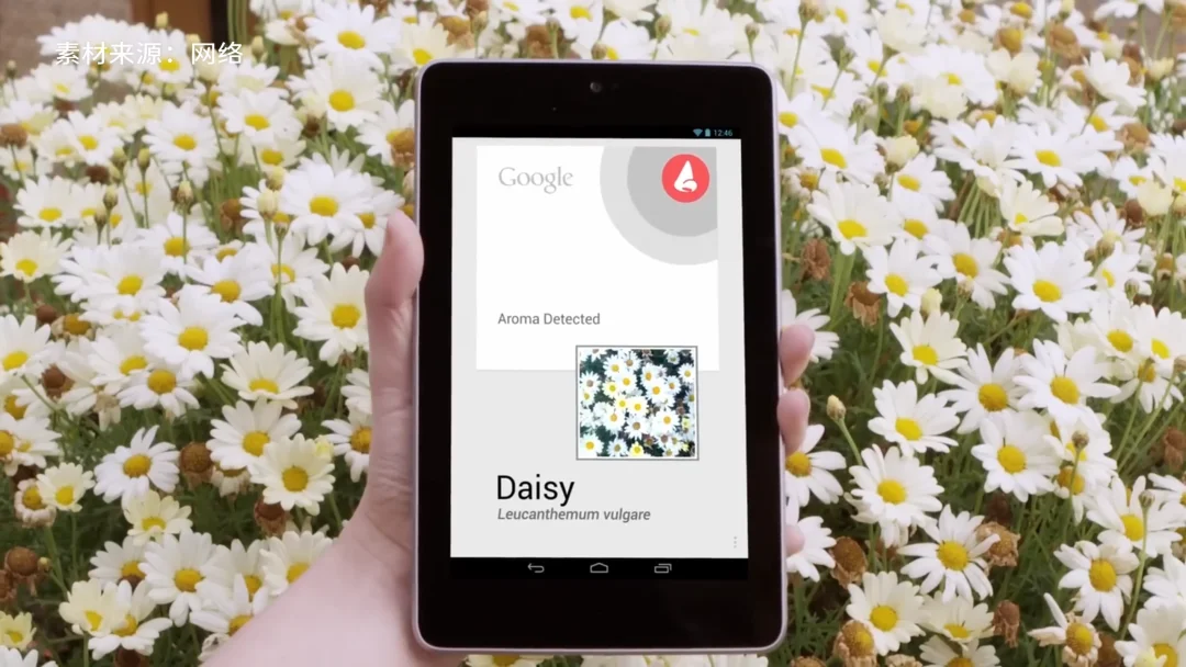 所有人都在追赶 AI，但有个真相被忽略了……