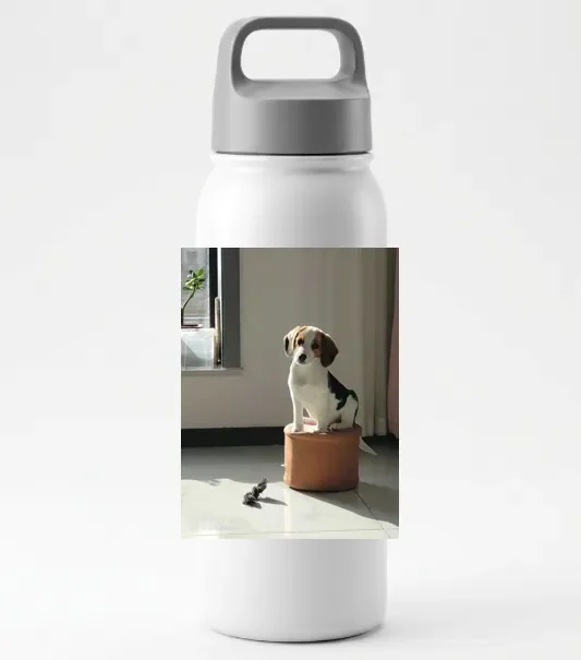 这次,我没有任何理由再用 PS 了