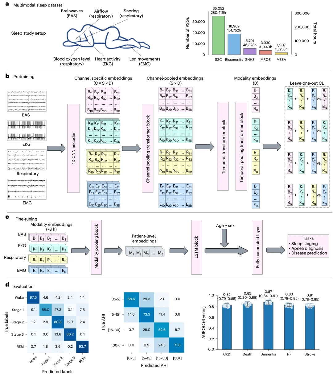 斯坦福最新研究：睡一觉，AI 就知道你还能活多久