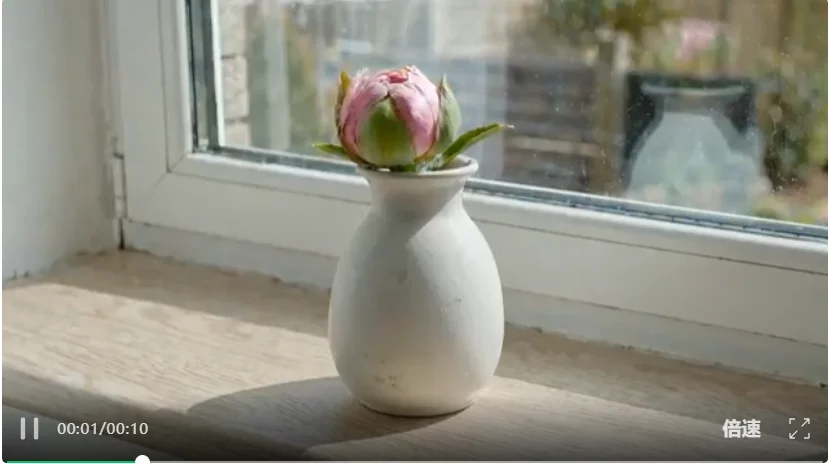 断层碾压Seedance 2.0：神秘「欢乐马」空降榜首，视频AI变天了