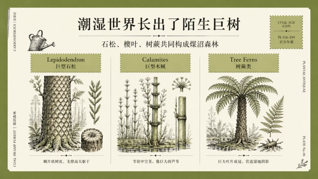 当我用Codex做PPT，这可能是目前最好的解法之一。