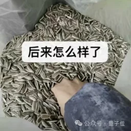 奥特曼趁马斯克出差爆猛料:他曾想让子女继承OpenAI