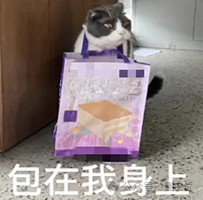 Need is all you need：AI接手Coding后，程序员最值钱的能力只剩这一项？