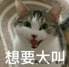 一只机器狗，把英伟达的算力王座拱翻了