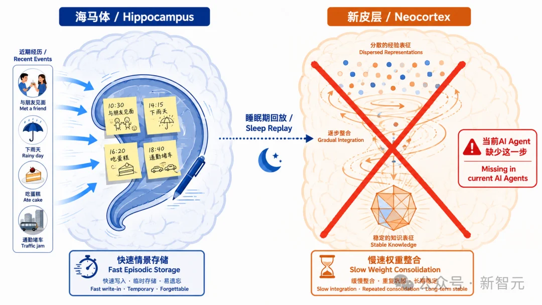 你的AI Agent越用越蠢？港中大、浙大戳破「记忆」的谎言