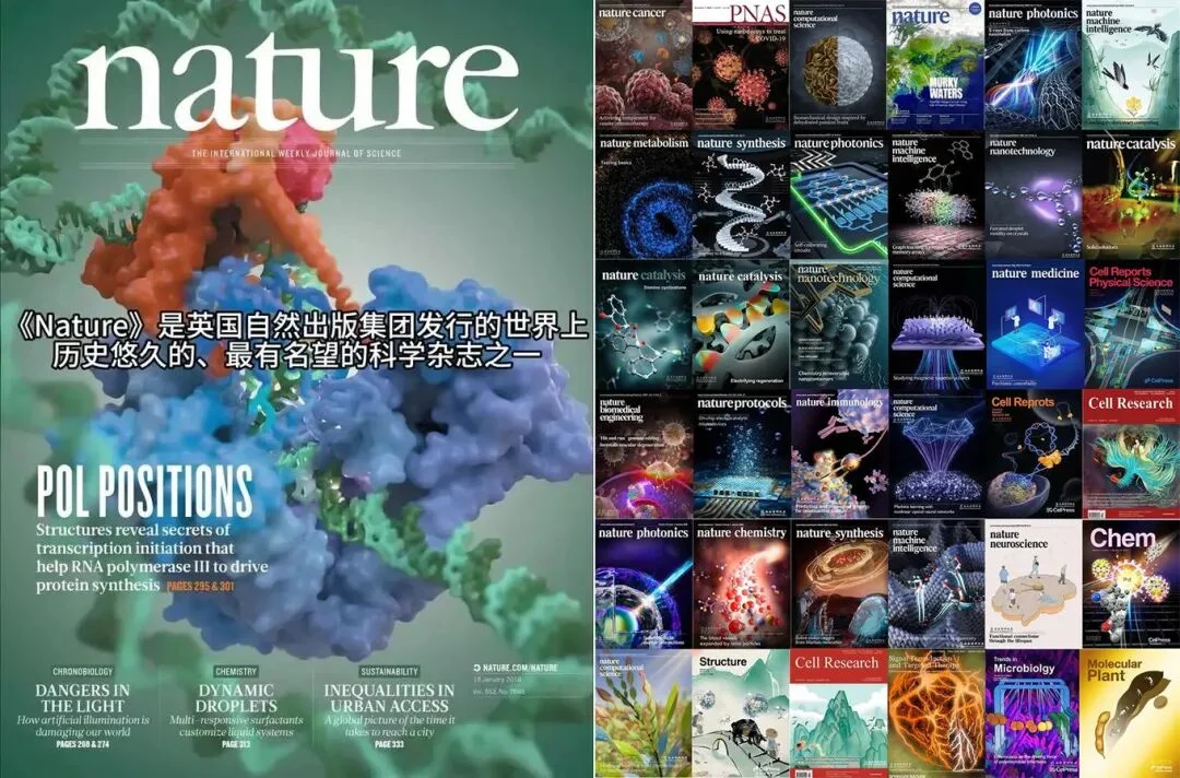 耿同学,一个退学博士是怎么用AI降维打击学术圈的?