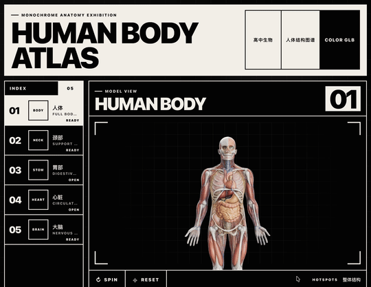 如何用 Codex + Blender，做出全网爆火的 3D 人体模型教科书？