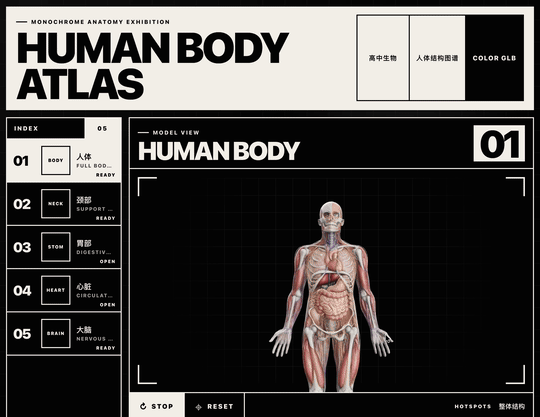 如何用 Codex + Blender，做出全网爆火的 3D 人体模型教科书？