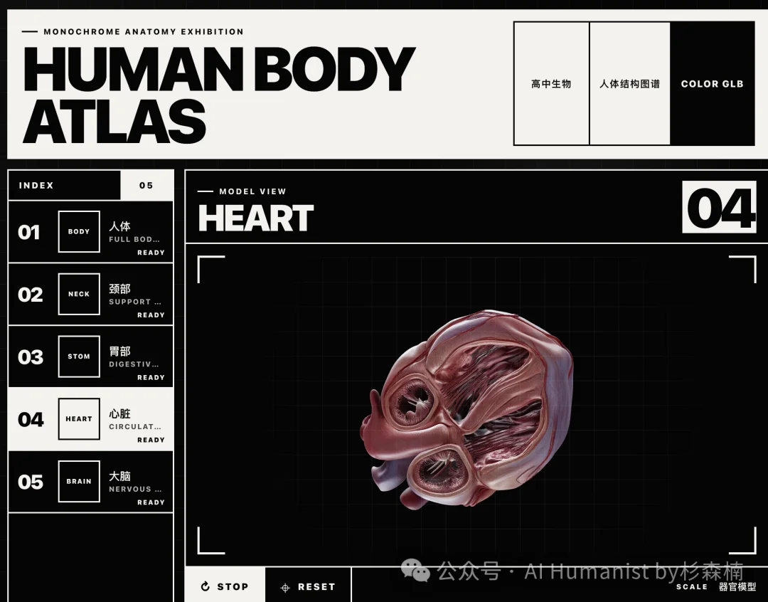 如何用 Codex + Blender，做出全网爆火的 3D 人体模型教科书？
