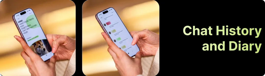 戴上 800 块的 AI 项圈,就能听懂喵星人的话?