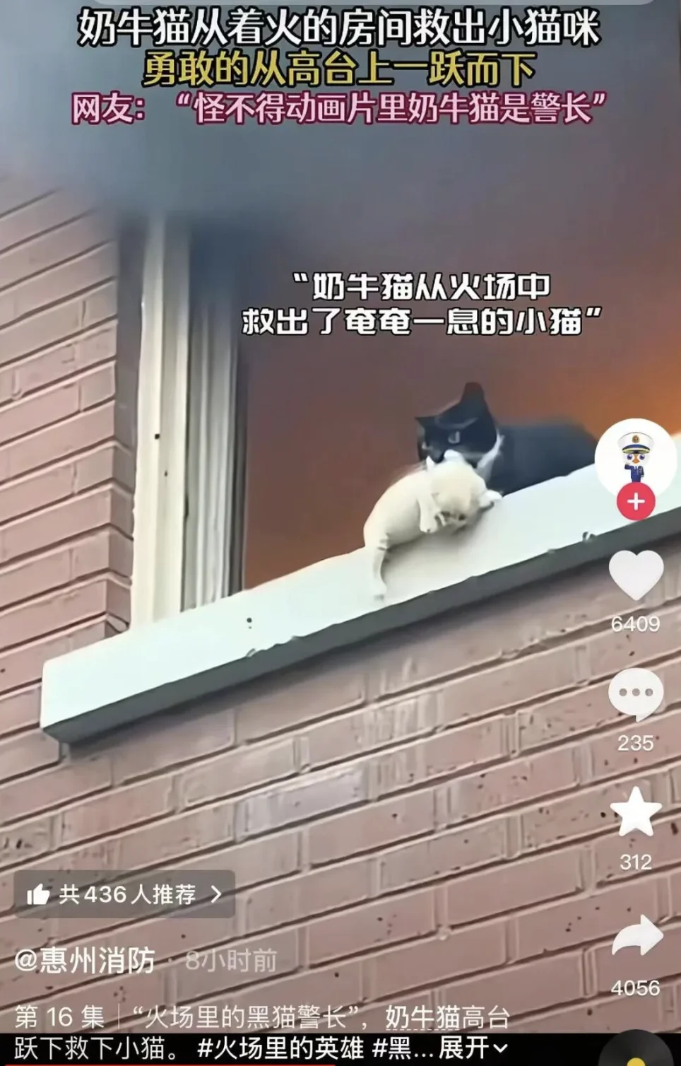 那么请你告诉我，到底什么才是真的？