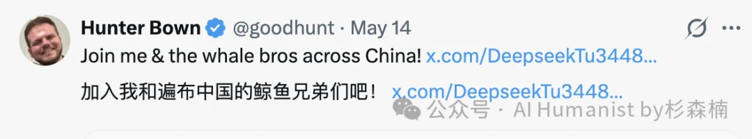 DeepSeek TUI 创始人「鲸鱼兄弟」来中国，被狠狠上了一课
