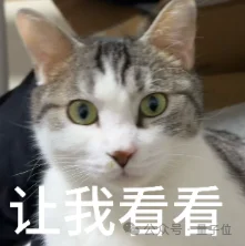 刚刚，国产Agent模型闯入全球第一梯队！限时免费