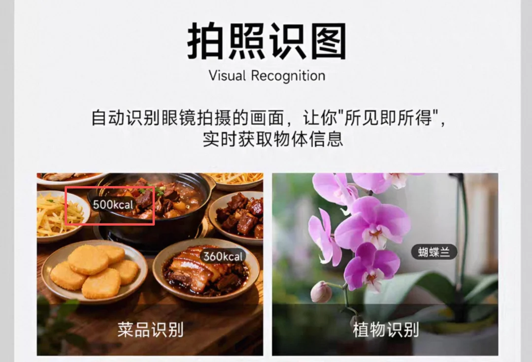 独家!蚂蚁集团首款AI眼镜Willit正式面世,已登陆淘宝开售