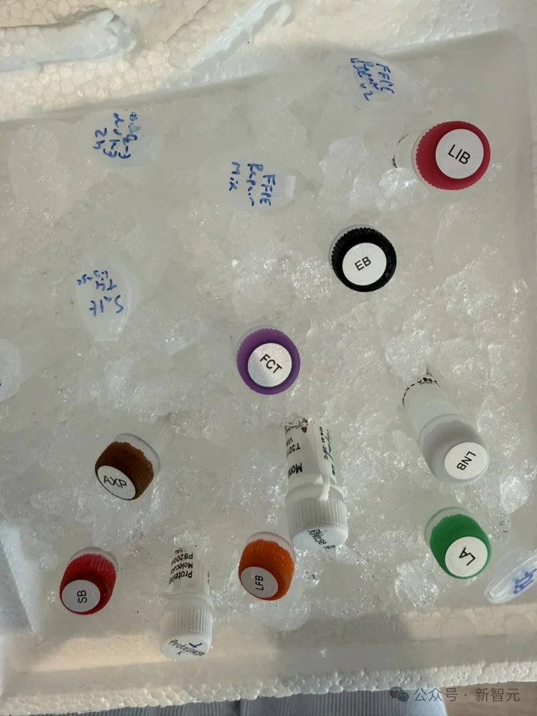 生物圈震撼：00后小哥在客厅完成基因组测序，27亿美金壁垒塌了！