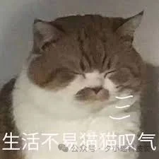 数据比模型更值钱,国内最大的「端侧」训练数据开源了!600B 预训练+千万级 SFT 核心数据配方公开