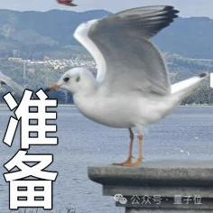 Token需求狂飙千倍，22亿热钱涌向这家AGI Infra头号玩家