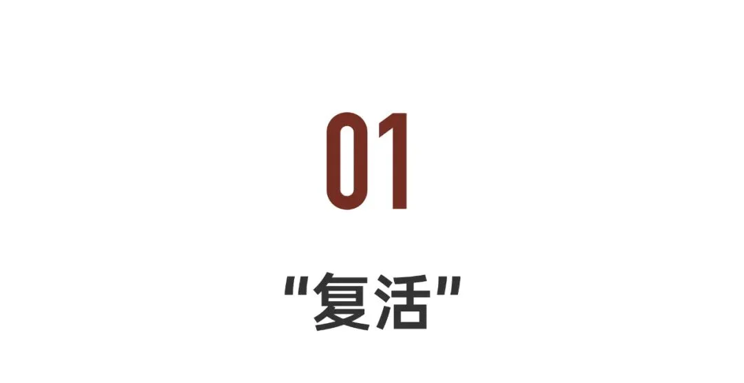 国产AI情趣娃娃：记住你的喜好，也会关照你的怪癖