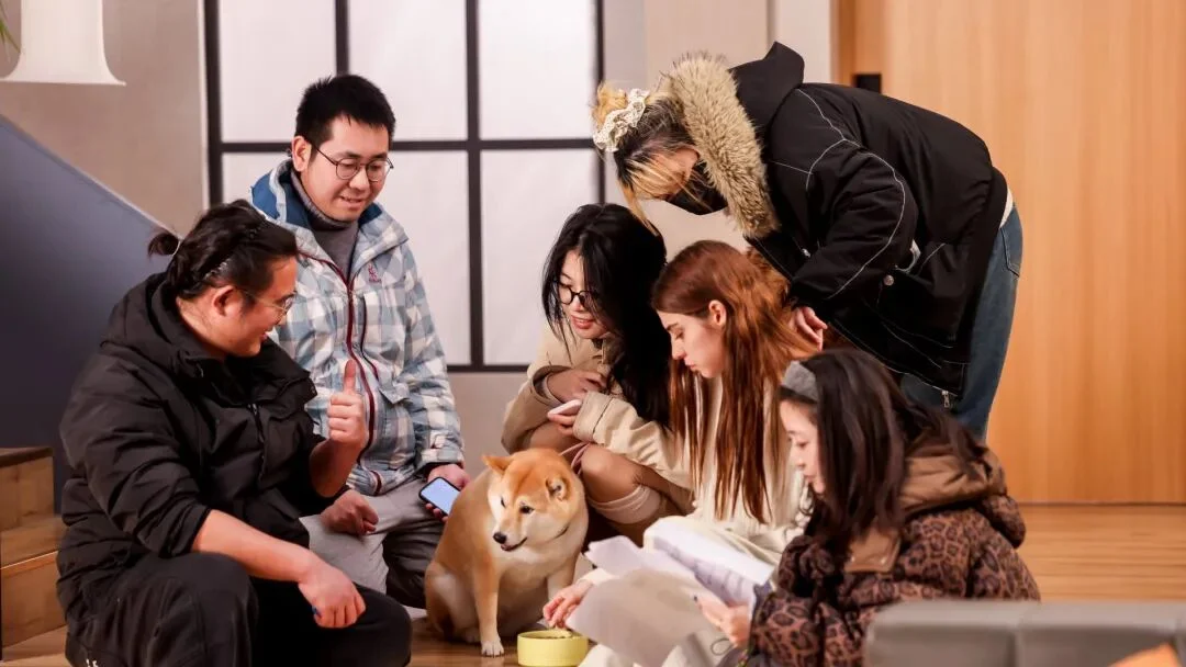 对话PettiChat 团队丨全球首款AI实时宠物翻译器 已获百万美元融资