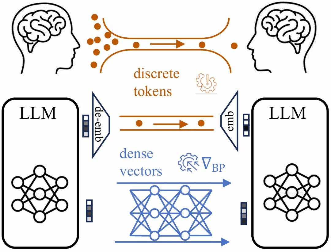 ICML 2026 | 清华姚权铭团队提出LMNet,让语言模型学会自己「组网」