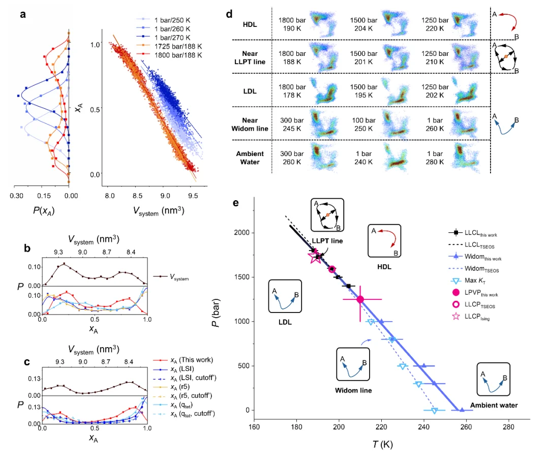 争论几十年的水之谜，被AI一举破解！港城大&中石大成果登Nature Physics