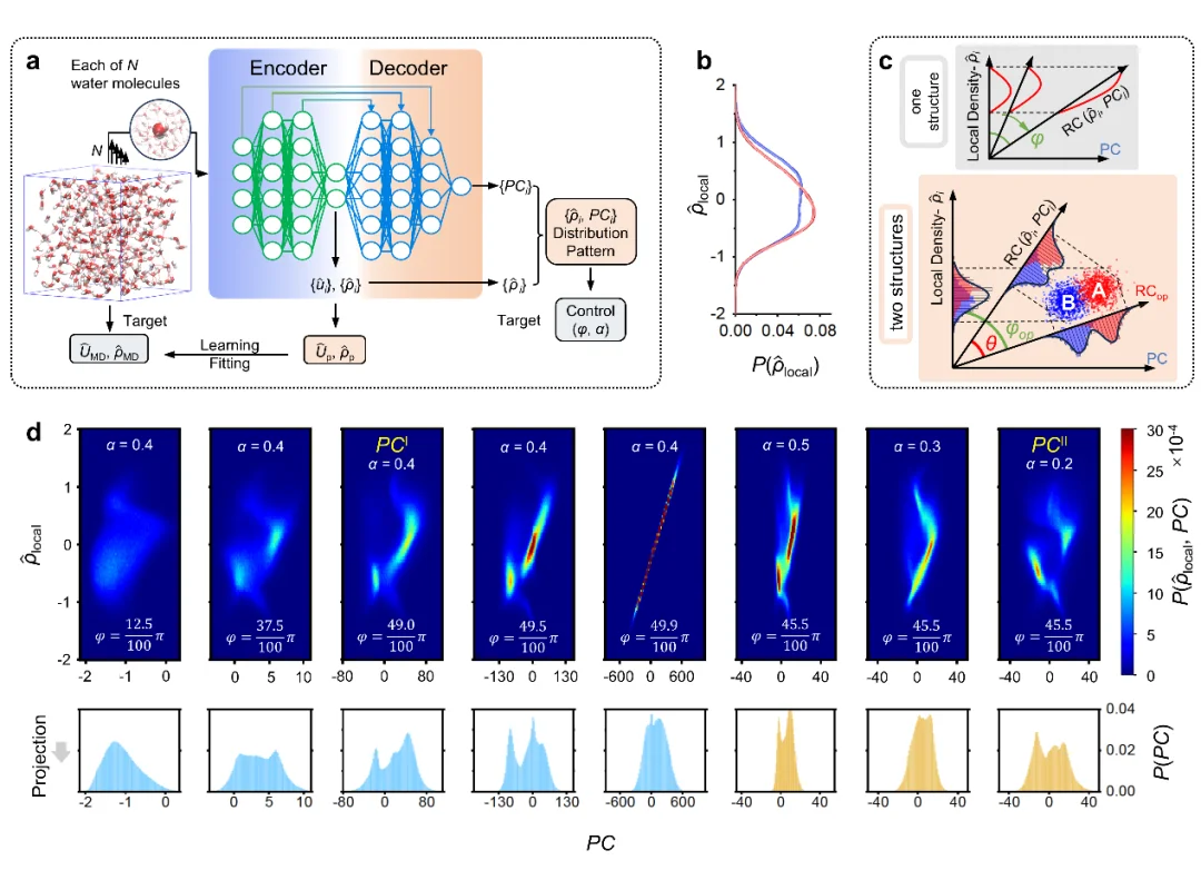 争论几十年的水之谜，被AI一举破解！港城大&中石大成果登Nature Physics