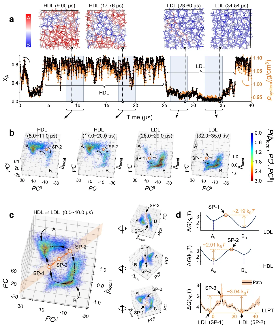 争论几十年的水之谜，被AI一举破解！港城大&中石大成果登Nature Physics