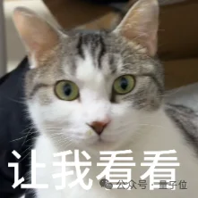 刚成立一年就拿下车厂订单,这家清华系公司把具身智能送进真实产线