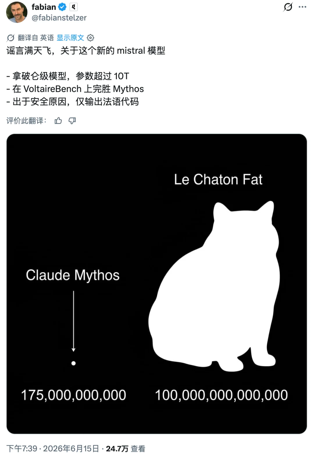 离谱，AI 圈都在疯转一只不存在的「法国胖猫」