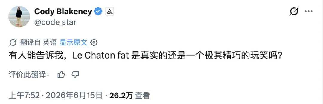 离谱，AI 圈都在疯转一只不存在的「法国胖猫」