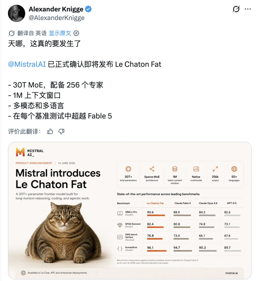 离谱，AI 圈都在疯转一只不存在的「法国胖猫」