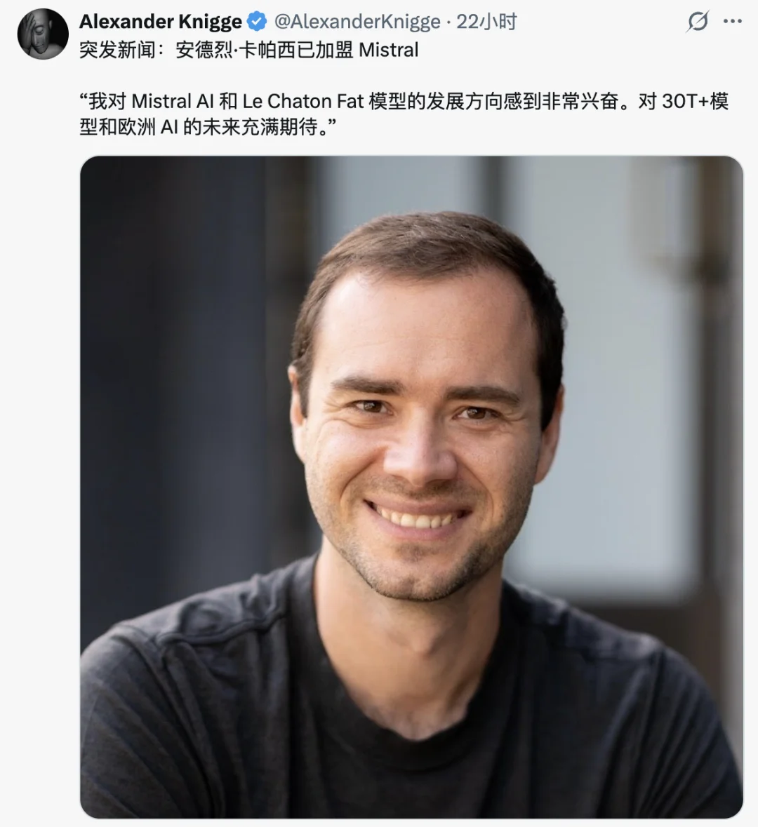 离谱，AI 圈都在疯转一只不存在的「法国胖猫」