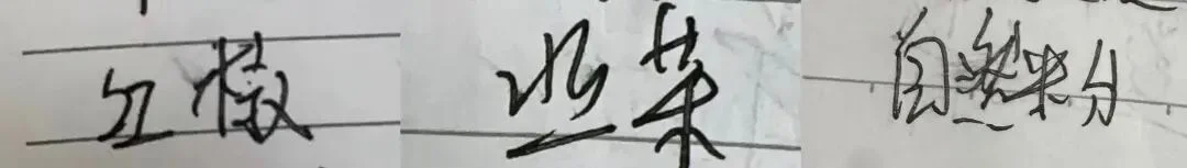 DeepSeek识图模式全量上线，却认不出自家老板梁文锋
