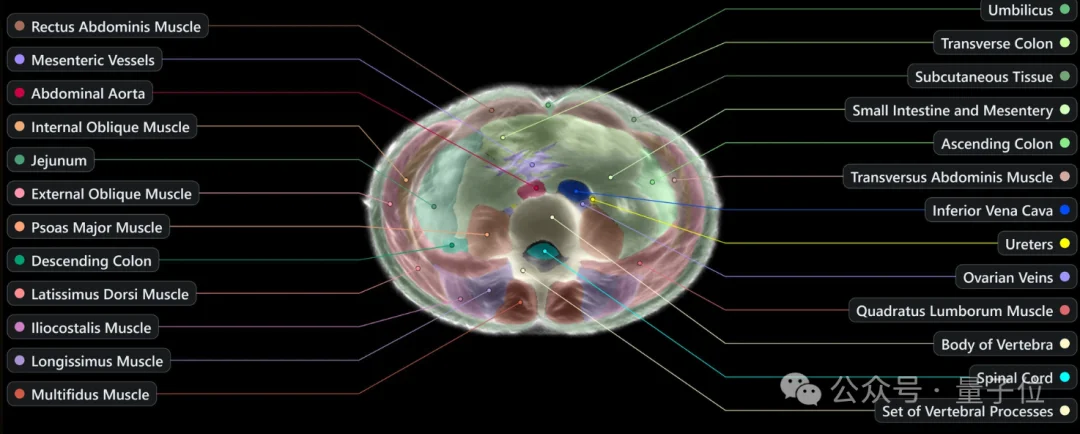 Midjourney新副业曝光:50万个传感器藏进浴池,60秒生成你的3D身体地图
