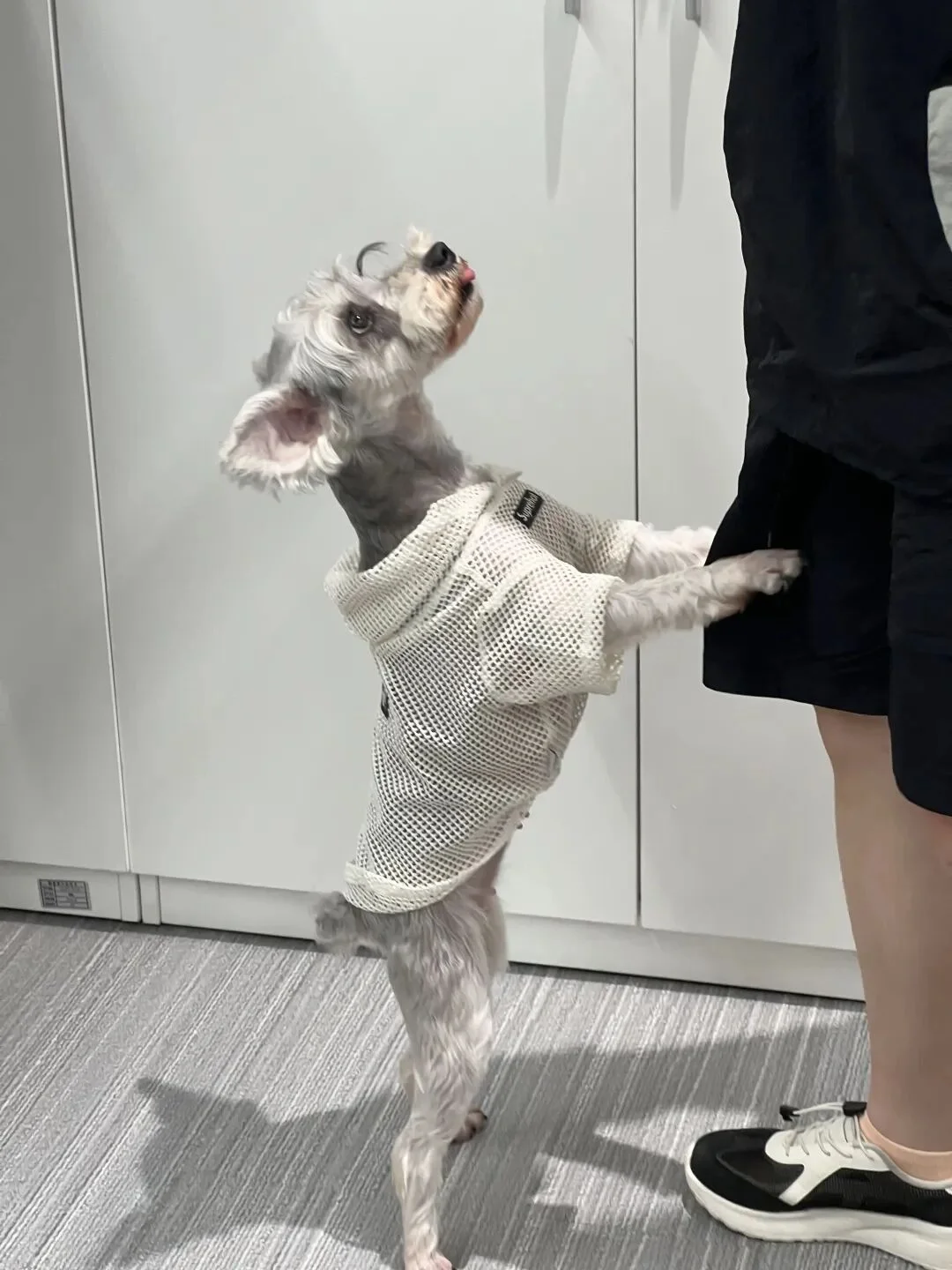深度丨