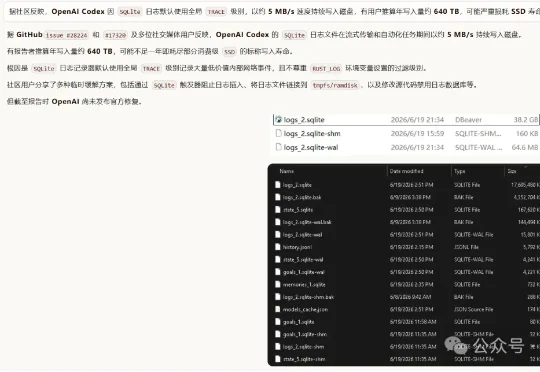 Codex史诗级Bug：一年写废你的SSD