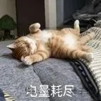顶刊生物实验难复现？统一操作话术来了！编译通过率98.6%